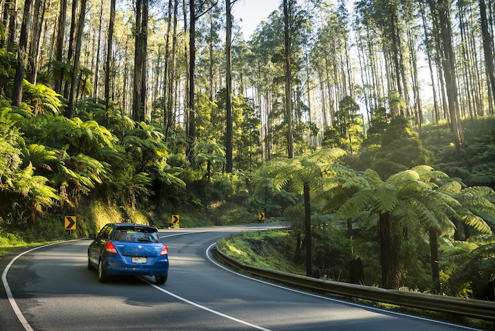 drive the black spur