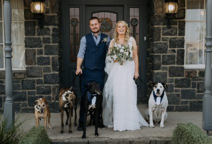 pets at weddings  penny and neil