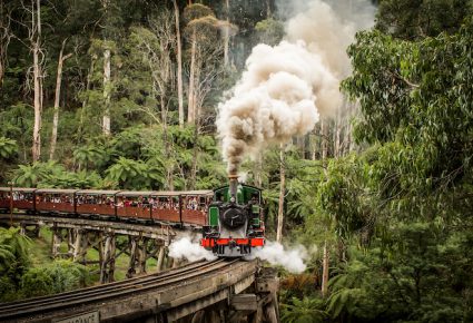 Puffing Billy Kahla Webb